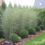 Natural gravel front yard landscaping ideas: creating a rustic and low-maintenance outdoor space