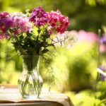 Vegetable Garden Design Ideas Plan Layout Creative vegetable garden layout with raised beds and trellises for vertical gardening