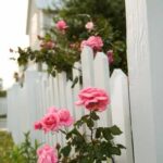 Beautiful Garden Layout Designs and Blueprints for Any Style and Space