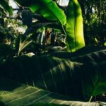 Minimalist garden design: SIMPLE FRONT YARD LANDSCAPING IDEAS for a clean, modern look