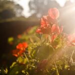 Landscape Ideas With Hot Tubs Relaxing landscape ideas with hot tubs for your backyard oasis