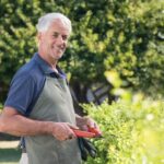 Sample Garden Designs Layout Beautiful sample garden designs layout featuring vibrant flowers, pathways, and cozy seating areas