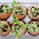 Landscape Architecture Ideas Landscape Architecture Ideas: Innovative designs for urban and natural environments blending nature and human elements