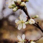 Landscaping Ideas Front House Entrance Stunning landscaping ideas for front house entrance: curb appeal inspiration for your home