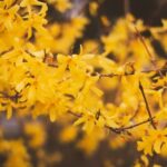 City Landscaping Ideas Get inspired with our City Landscaping Ideas for urban outdoor spaces