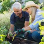 Cheap Landscaping Ideas Affordable landscaping tips using recycled materials for CHEAP LANDSCAPING IDEAS