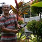 Tropical Front Yard Landscaping Ideas Vibrant tropical plants and water features for stunning front yard landscaping ideas