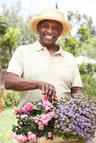Entrance Landscaping Ideas: Welcoming path, lush greenery, and vibrant blooms frame the entryway beautifully