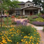 Design Garden Layout for Colorado Colorado-inspired garden layout design, blending native plants for vibrant color and sustainable beauty