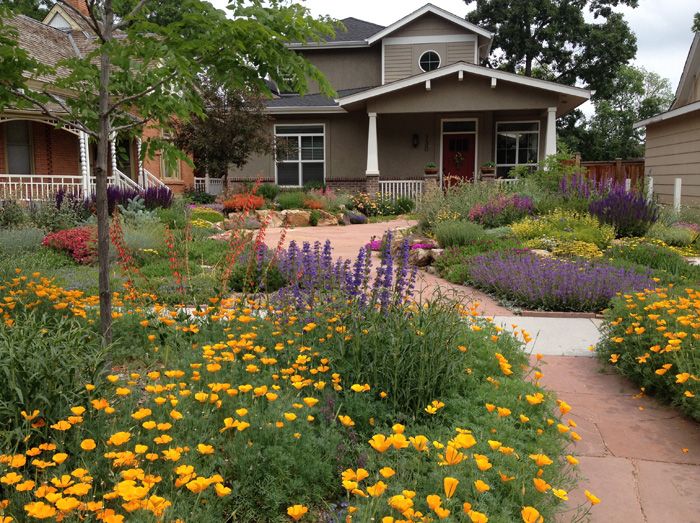 Design Garden Layout for Colorado 1 Colorado-inspired garden layout design, blending native plants for vibrant color and sustainable beauty