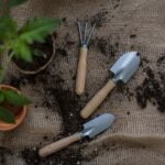 Spatial arrangement ideas for small garden designs with optimal utilization of limited space
