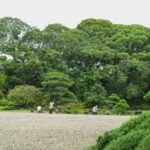 Garden Shed Landscaping Ideas Transform your outdoor space with these creative garden shed landscaping ideas for a beautiful backyard retreat