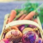 Western Style Landscaping Ideas Stunning Western Style Landscaping Ideas with cactus, succulents, and natural stone elements