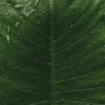 Landscape Painting Ideas for Beginners Easy landscape painting ideas for beginners: serene sunset, gentle streams, vibrant wildflowers