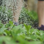 SQUARE GARDEN DESIGNS AND LAYOUTS: Symmetrical plant beds with paths in geometric arrangement