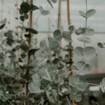 Beautiful flower front yard landscaping ideas to enhance your outdoor space with colorful blooms