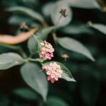 Ideas for Landscaping Garden Beautiful landscaping garden examples for inspiration and design ideas