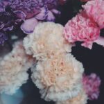 Stunning Landscape Ideas for Pools: Designing a picturesque outdoor oasis for the perfect relaxation spot