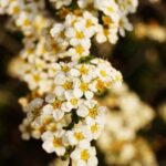 Landscape Ideas for a Hill Landscape Ideas for a Hill: Terraced gardens, retaining walls, and native plants for erosion control
