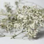 How to Design a Garden Layout Easy Steps to Create a Beautiful Garden Layout: A Guide on How to Design a Garden