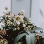 Stunning and simple landscape ideas: Incorporate minimalist design, natural elements, and functional outdoor spaces