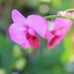 Transform your outdoor space with landscaping ideas after tree removal for a fresh, natural look