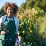 Download your ideal garden design layout for free and start planning your dream garden today