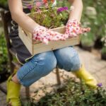 Corner Lot Landscaping: Creative ideas for maximizing space and curb appeal