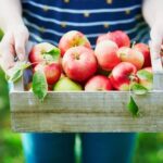 Charming Cottage Landscaping Ideas: Quaint garden paths, blooming perennials, and cozy outdoor seating