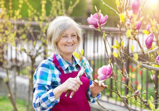 Garden Layout Designer 1 Beautiful Garden Layout Designs - Hire a Skilled Garden Layout Designer Today