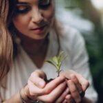 Beautiful and Sustainable Landscaping Ideas in Michigan: Enhancing Your Outdoor Space