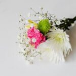 Driveway Landscaping Ideas Beautiful Driveway Landscaping Ideas to Enhance Your Outdoor Space