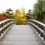 Landscape Ideas Around Foundation Stunning landscape ideas around foundation: lush plants, decorative rocks, and paved pathways