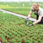 Simple and Creative Landscaping Ideas: Enhance Your Outdoor Space with BASIC LANDSCAPING IDEAS