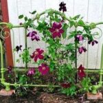 Explore Free Vegetable Garden Designs and Layouts for Your Backyard Bliss