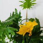 Backyard Landscape Ideas Using Logs Creative Backyard Landscape Ideas Using Logs: DIY Log Planters, Natural Seating, and Decorative Garden Pathways