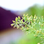 Landscaping Ideas for Small Areas Creative space-saving landscaping ideas for small areas to maximize outdoor beauty