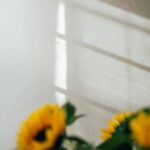 Landscaping Ideas in Arizona Stunning desert-inspired landscaping ideas in Arizona for your home or business