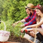 Wood Landscape Edging Ideas Creative Wood Landscape Edging Ideas: Natural, Sustainable, and Beautiful Designs for Your Outdoor Space