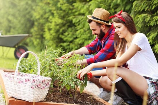 Wood Landscape Edging Ideas 3 Creative Wood Landscape Edging Ideas: Natural, Sustainable, and Beautiful Designs for Your Outdoor Space
