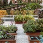 Simple Front Landscaping Ideas Simple Front Landscaping Ideas: Enhancing curb appeal with low-maintenance plants, clean lines, and pops of color