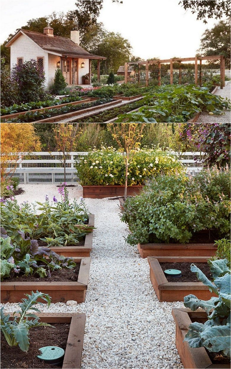 Simple Front Landscaping Ideas: Enhancing curb appeal with low-maintenance plants, clean lines, and pops of color