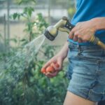 Beautiful landscaping ideas and landscape design for your outdoor space