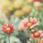 Ideas 4 Landscaping Transform your backyard with IDEAS 4 LANDSCAPING's innovative design inspiration and practical tips