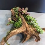 Explore modern geometric pool landscaping ideas for a contemporary outdoor space transformation