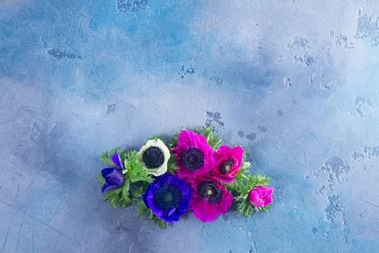 Stunning Clusia Landscaping Ideas: Versatile, Tropical, and Low-Maintenance Designs for Your Outdoor Space