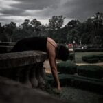 Lush Garden Landscaping Ideas with Mulch: Vibrant Flower Beds, Pathways, and Natural Borders