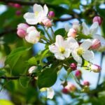 Landscaping Wall Ideas Stunning landscaping wall ideas with natural stone and vibrant foliage for outdoor spaces