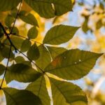 Low Cost Landscape Ideas Affordable and creative landscape ideas to transform your outdoor space - Low Cost Landscape Ideas