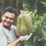 Creative Landscaping Ideas with Tree Stumps: A Guide to Transforming Your Outdoor Space